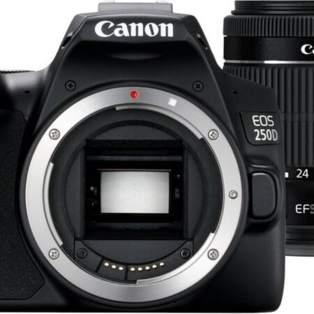 Canon EOS 250D + EF-S 18-55mm DC III